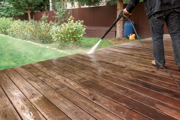 Best Animal Enclosure Cleaning  in Stony Point, MI