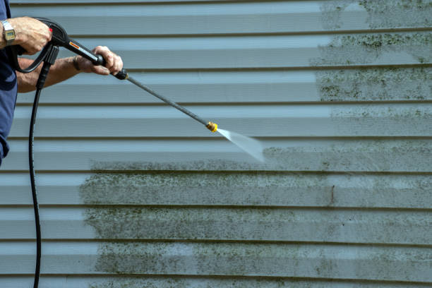 Best Restaurant Pressure Washing  in Stony Point, MI
